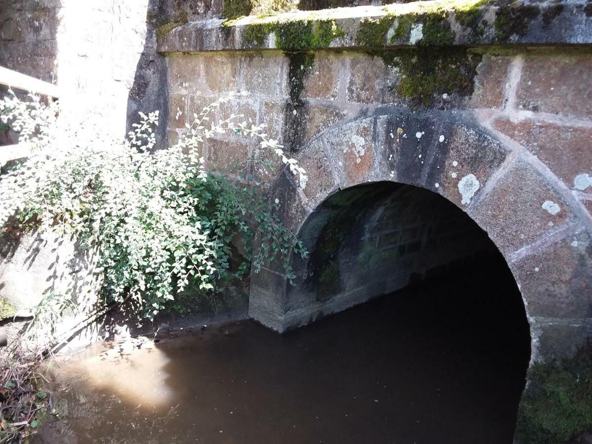 Vila L'Orchidee Lassay-les-Chateaux Exteriér fotografie