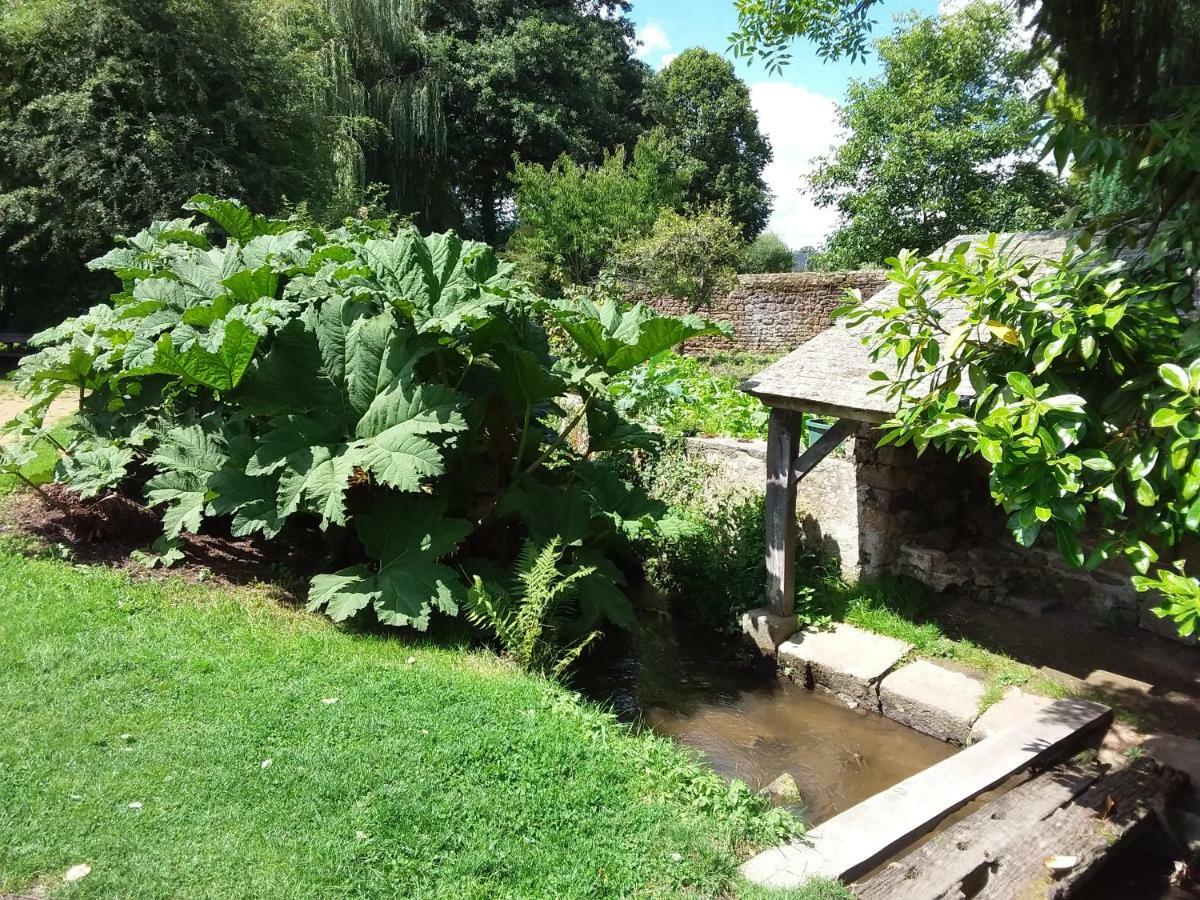Vila L'Orchidee Lassay-les-Chateaux Exteriér fotografie